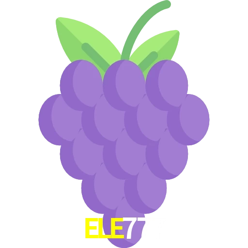 ELE777